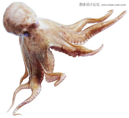 Photoshop合成教程：合成史前大章魚襲擊輪船效果教程,三聯