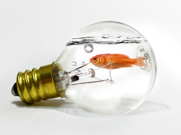 PS合成燈泡中吐水泡的金魚 三聯