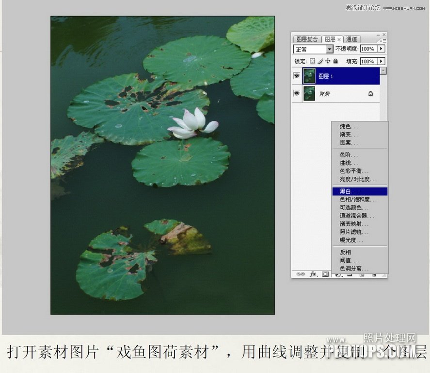 Photoshop使用廢棄的荷花圖制作戲魚圖封面,52photoshop教程