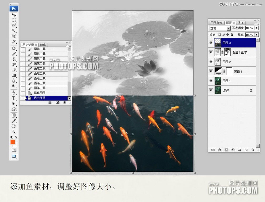 Photoshop使用廢棄的荷花圖制作戲魚圖封面,52photoshop教程