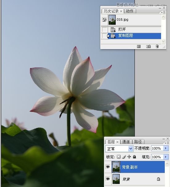 Photoshop合成色彩艷麗的荷花圖,PS教程,思緣教程網