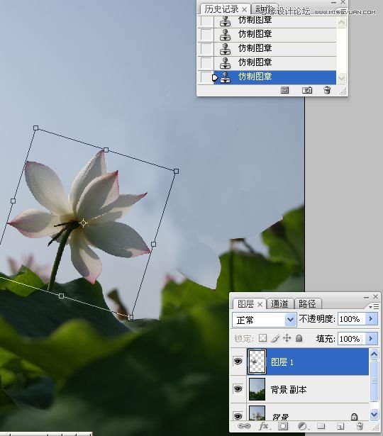 Photoshop合成色彩艷麗的荷花圖,PS教程,思緣教程網