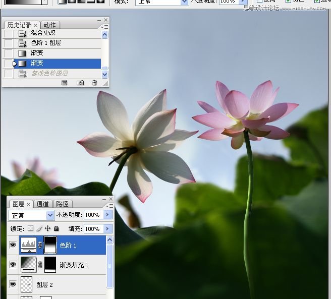 Photoshop合成色彩艷麗的荷花圖,PS教程,思緣教程網