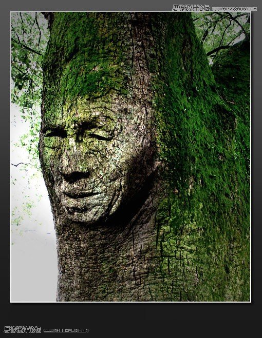 Photoshop合成超酷逼真的人頭樹木教程 三聯教程
