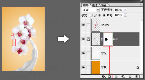 ps照片合成-誘人牛奶花朵