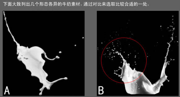 ps照片合成-誘人牛奶花朵