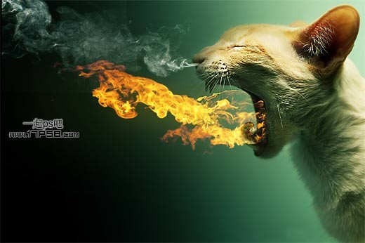 PhotoShop合成嘴裡噴火焰的貓咪特效教程 三聯教程