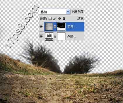 用photoshop合成死亡場景-骷髅與玫瑰