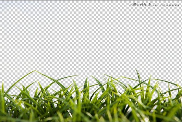 Photoshop巧用色彩范圍摳出小草效果圖,PS教程,素材中國網