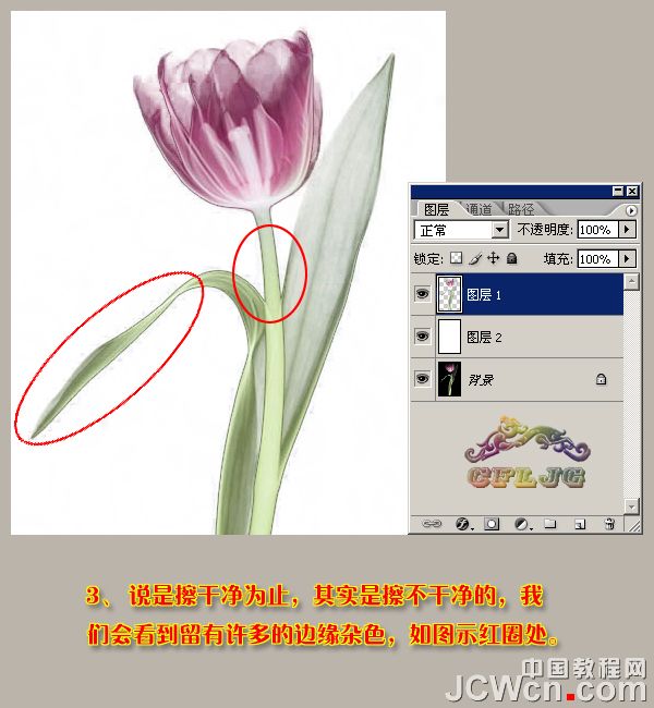 Photoshop使用背景橡皮擦工具摳圖實例,PS教程,思緣教程網