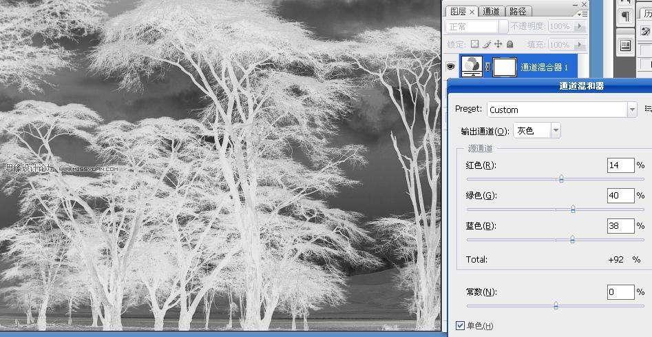 Photoshop摳圖教程：摳出復雜的樹林,PS教程,思緣教程網