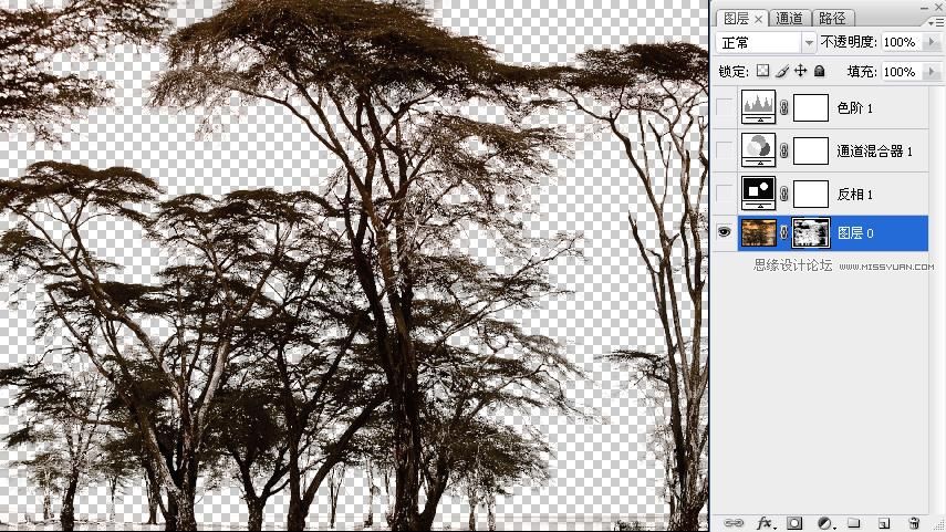 Photoshop摳圖教程：摳出復雜的樹林,PS教程,思緣教程網