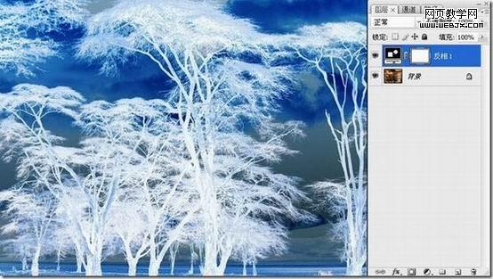 photoshop摳圖教程-利用反相操作摳出復雜樹木