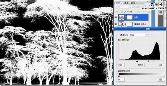 photoshop摳圖教程-利用反相操作摳出復雜樹木