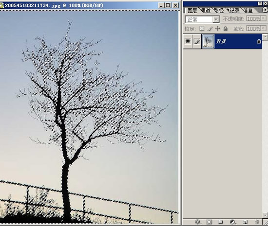 photoshop摳圖教程-樹枝摳圖方法