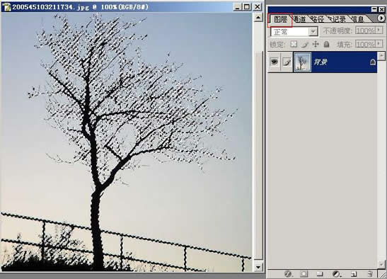 photoshop摳圖教程-樹枝摳圖方法
