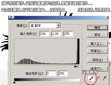 學習給植物照片摳圖的PS教程