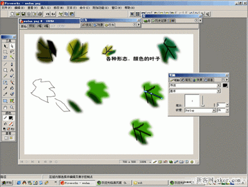 fireworks制作牡丹圖解教程_新客網