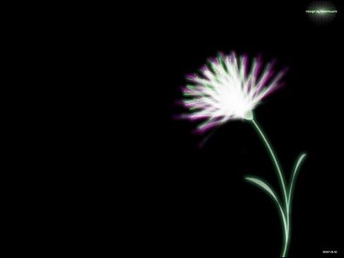 Fireworks制作X－ray暗黑中的花朵 三聯