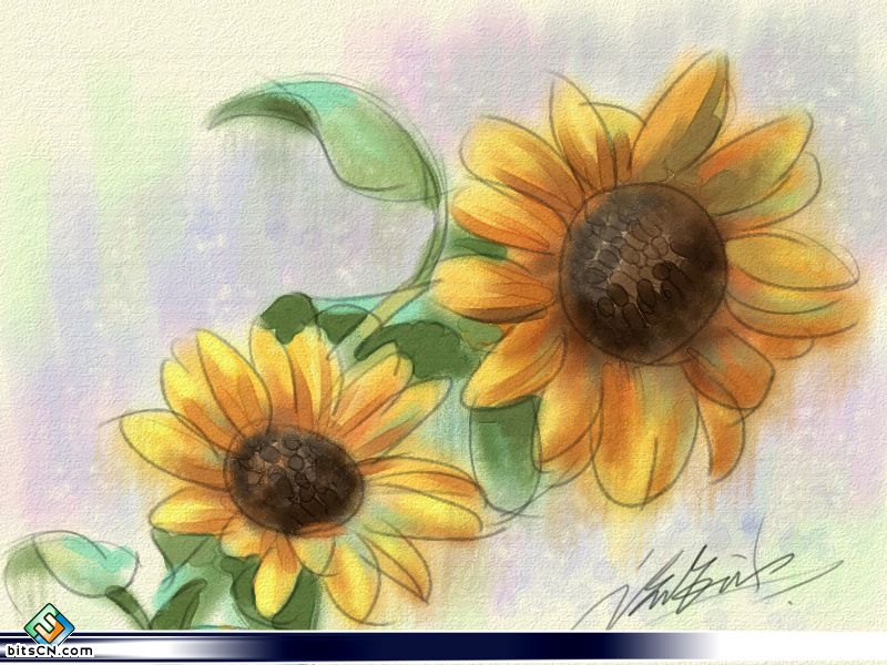 教你用painter繪制水彩油畫雙重效果的向日葵插畫  三聯