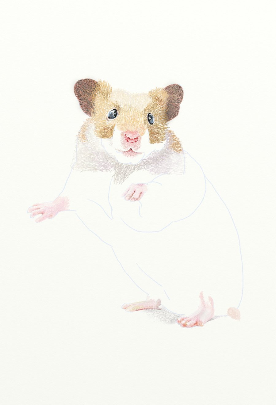 painter繪制一只可愛的小老鼠插畫  三聯