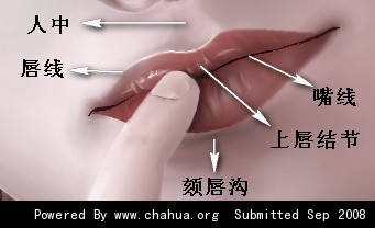 插畫中國原創插畫 http://bbs.chahua.org