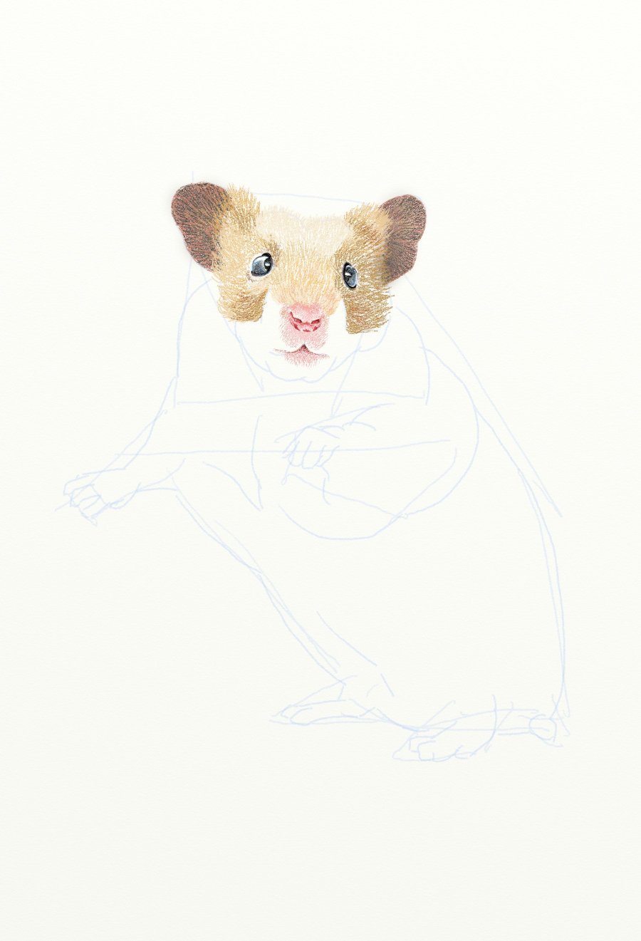 painter繪制一只可愛的老鼠 三聯