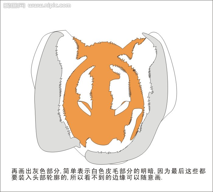 CDR繪制可愛的幼虎 腳本之家 CDR實例教程