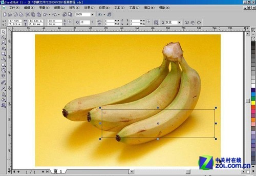 CorelDraw網格實例:香蕉制作詳解 