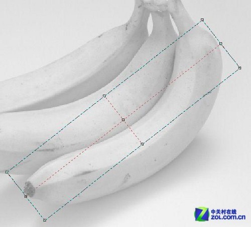 CorelDraw網格實例:香蕉制作詳解 