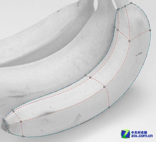 CorelDraw網格實例:香蕉制作詳解 