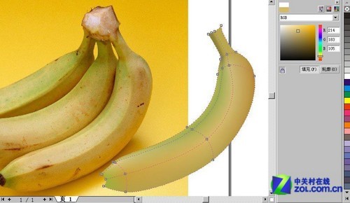 CorelDraw網格實例:香蕉制作詳解 