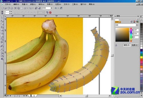 CorelDraw網格實例:香蕉制作詳解 