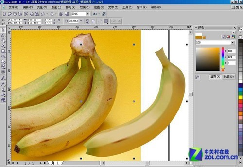 CorelDraw網格實例:香蕉制作詳解 