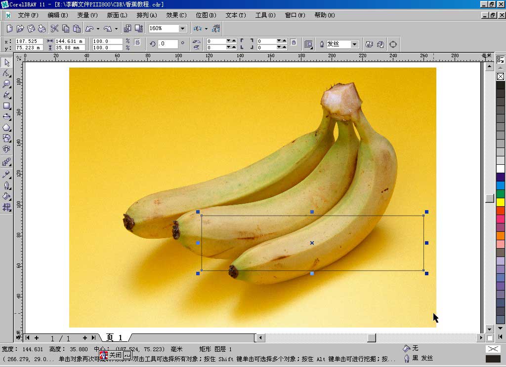 CDR網格工具制作逼真香蕉 三聯教程網 CDR實例教程