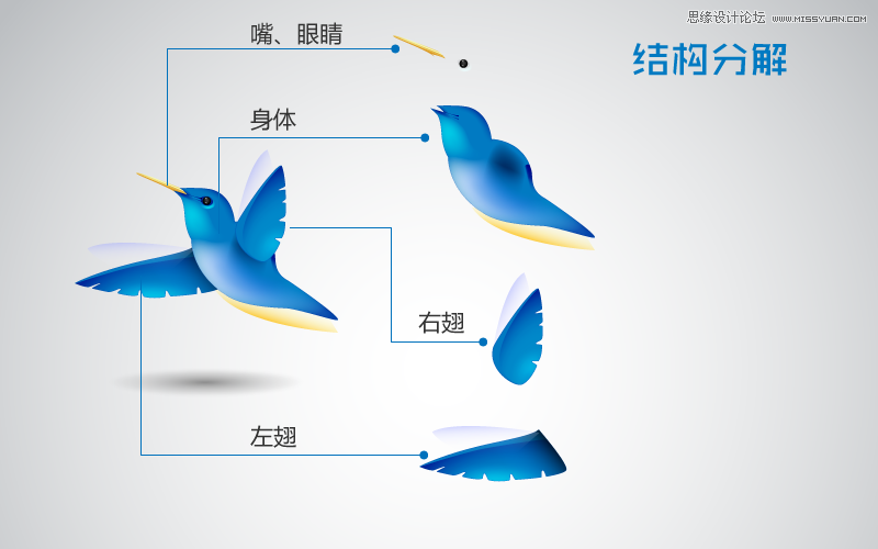 Illustrator制作可愛的蜂鳥教程