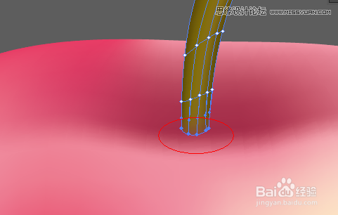 Illustrator網格工具制作逼真的紅蘋果教程,PS教程,思緣教程網