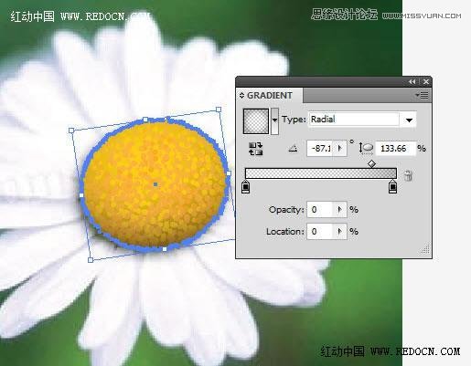 Illustrator繪制漂亮的白色雛菊效果,PS教程,思緣教程網