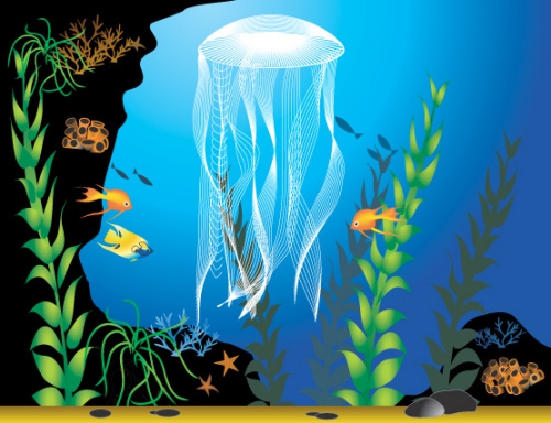 Illustrator繪制美麗的海底世界 三聯