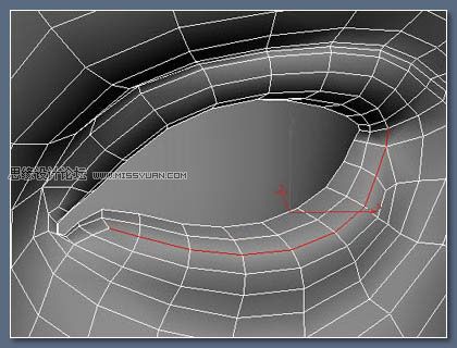 3DsMax教程：制作逼真美女眼睫毛的方法