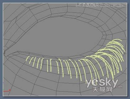 3DsMax教程：制作逼真美女眼睫毛的方法