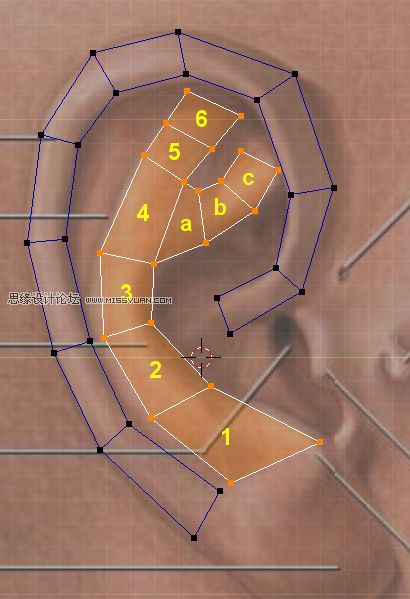 3Dmax建模教程：簡單制作逼真耳朵模型