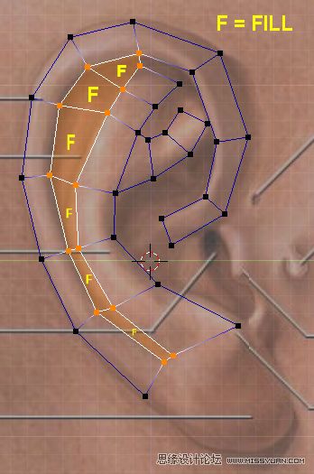 3Dmax建模教程：簡單制作逼真耳朵模型