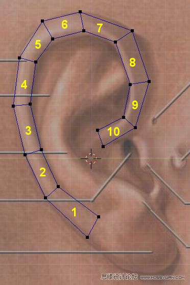 3Dmax建模教程：簡單制作逼真耳朵模型