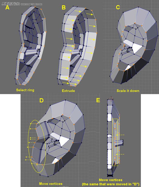 3Dmax建模教程：簡單制作逼真耳朵模型