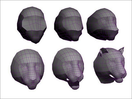 3dsmax繪制毛色亮麗視覺沖擊感強的3D老虎（圖三）