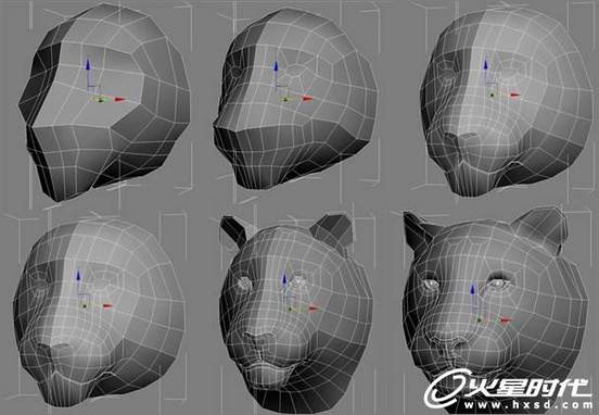 3dsmax繪制毛色亮麗視覺沖擊感強的3D老虎（圖四）