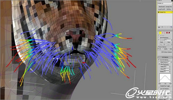 3dsmax繪制毛色亮麗視覺沖擊感強的3D老虎（圖六）