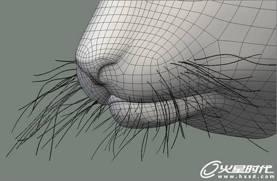 3dsmax繪制毛色亮麗視覺沖擊感強的3D老虎（圖七）