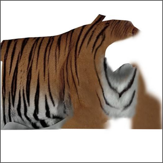 3dsmax繪制毛色亮麗視覺沖擊感強的3D老虎（圖十二）